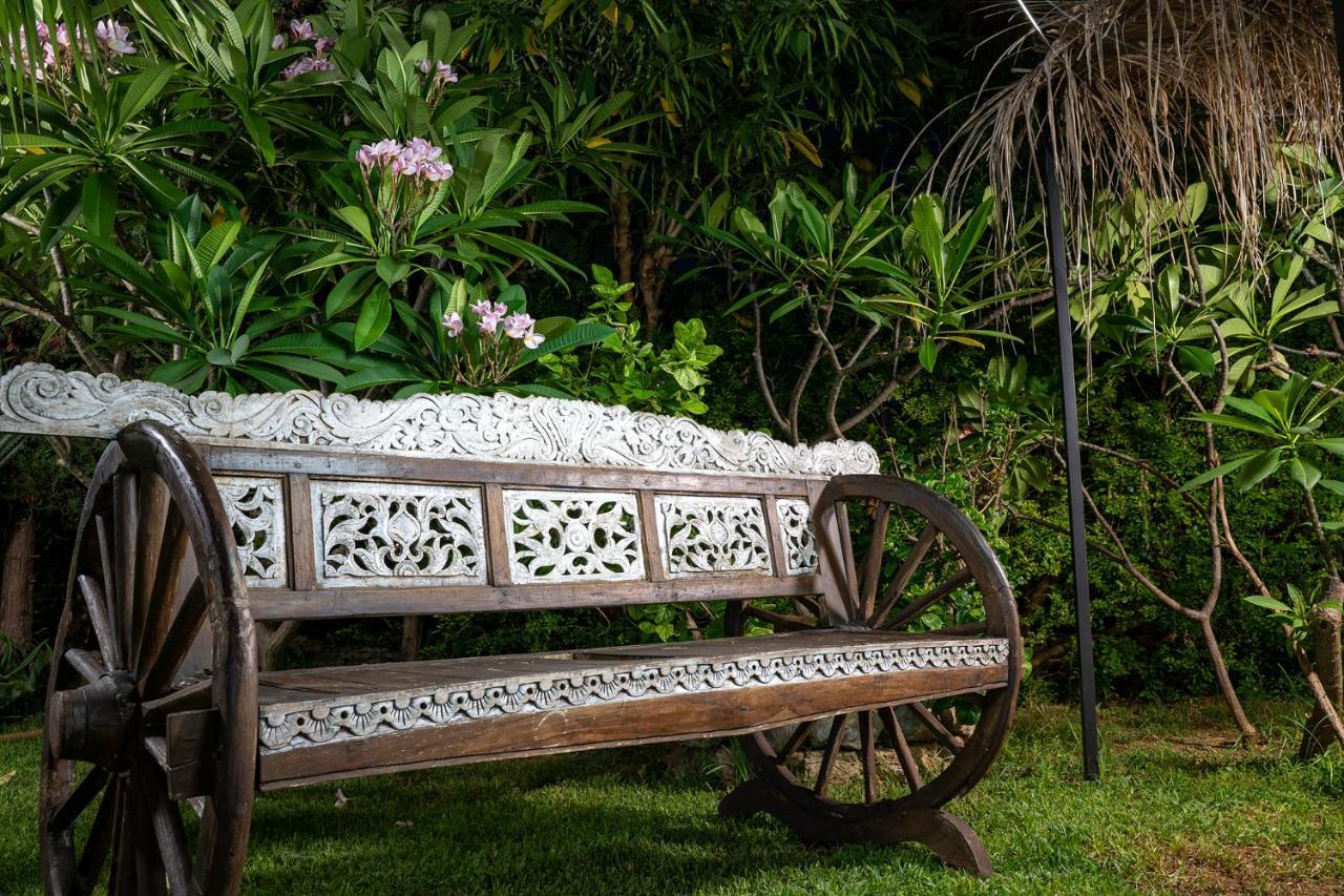 Villa Megna - Green Paradise B&B 巴勒莫 外观 照片