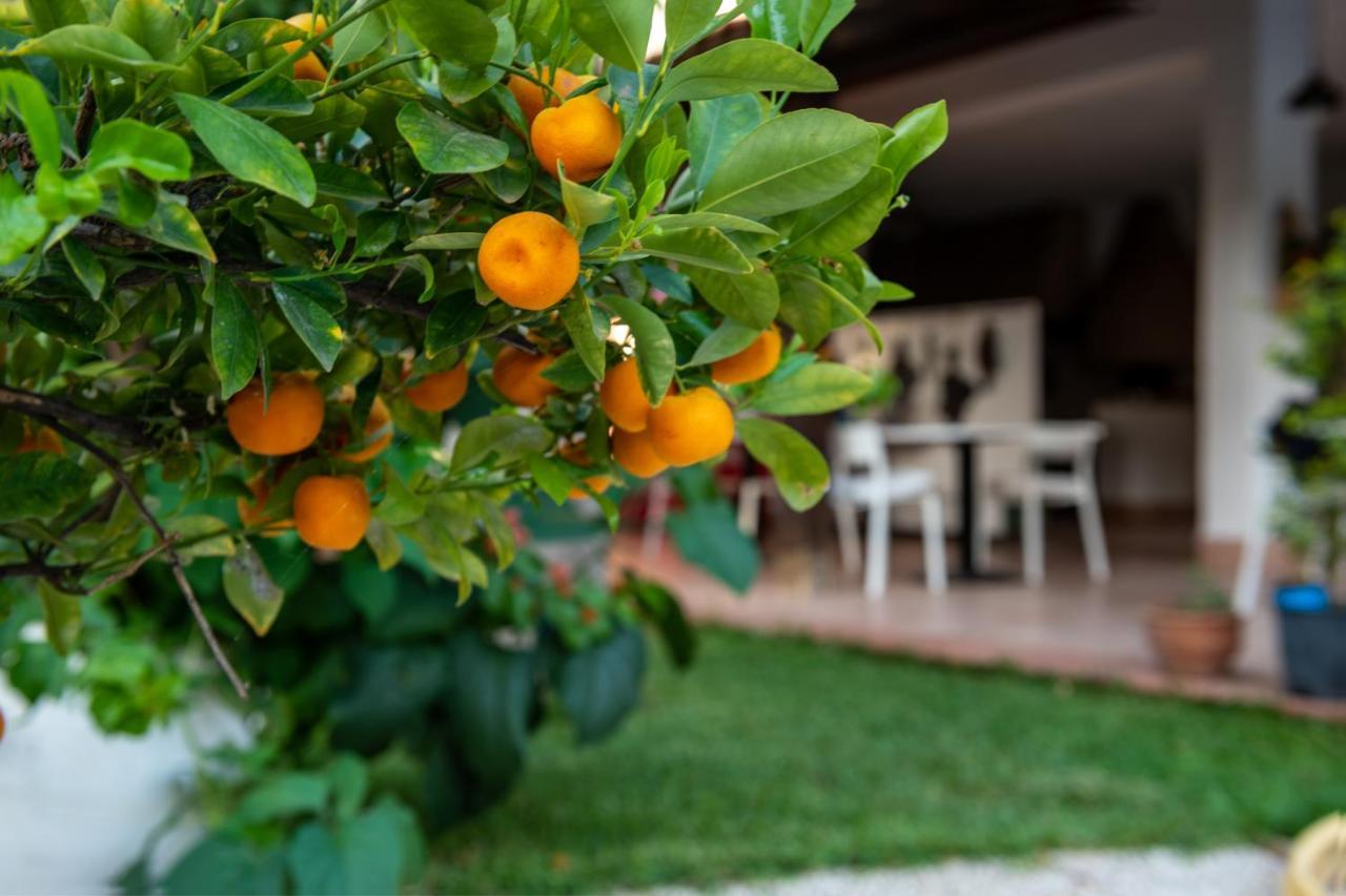 Villa Megna - Green Paradise B&B 巴勒莫 外观 照片