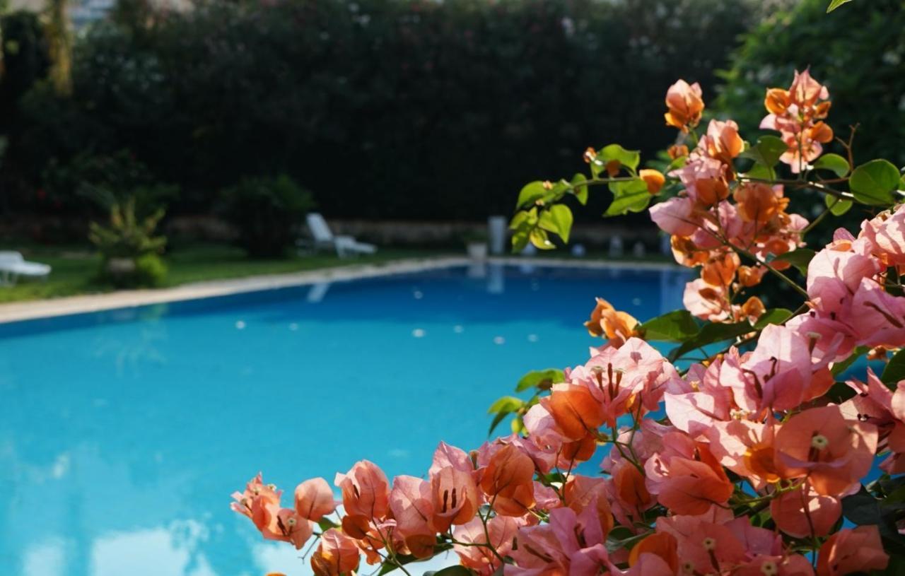 Villa Megna - Green Paradise B&B 巴勒莫 外观 照片